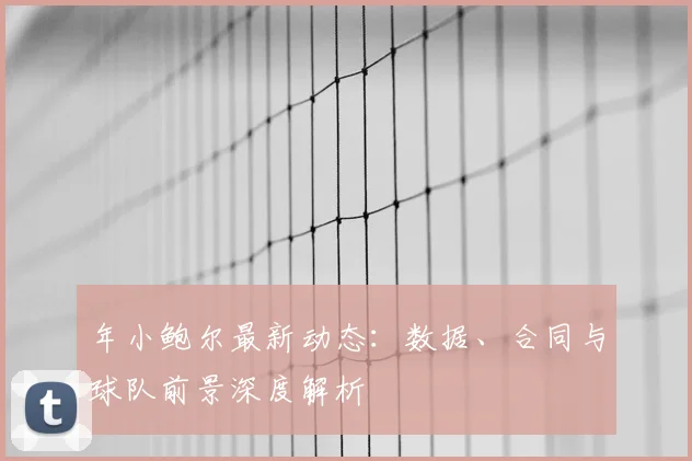 年小鲍尔最新动态：数据、合同与球队前景深度解析