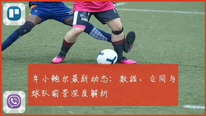年小鲍尔最新动态：数据、合同与球队前景深度解析